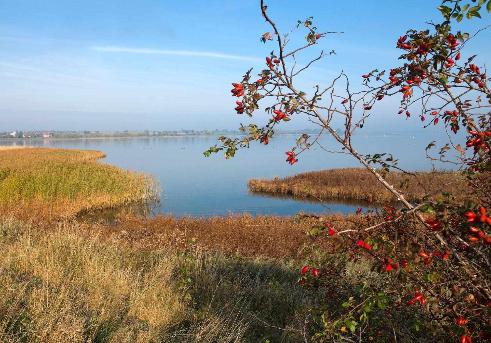 Residenz Am Yachthafen Strandaster Kirchdorf  Luaran gambar