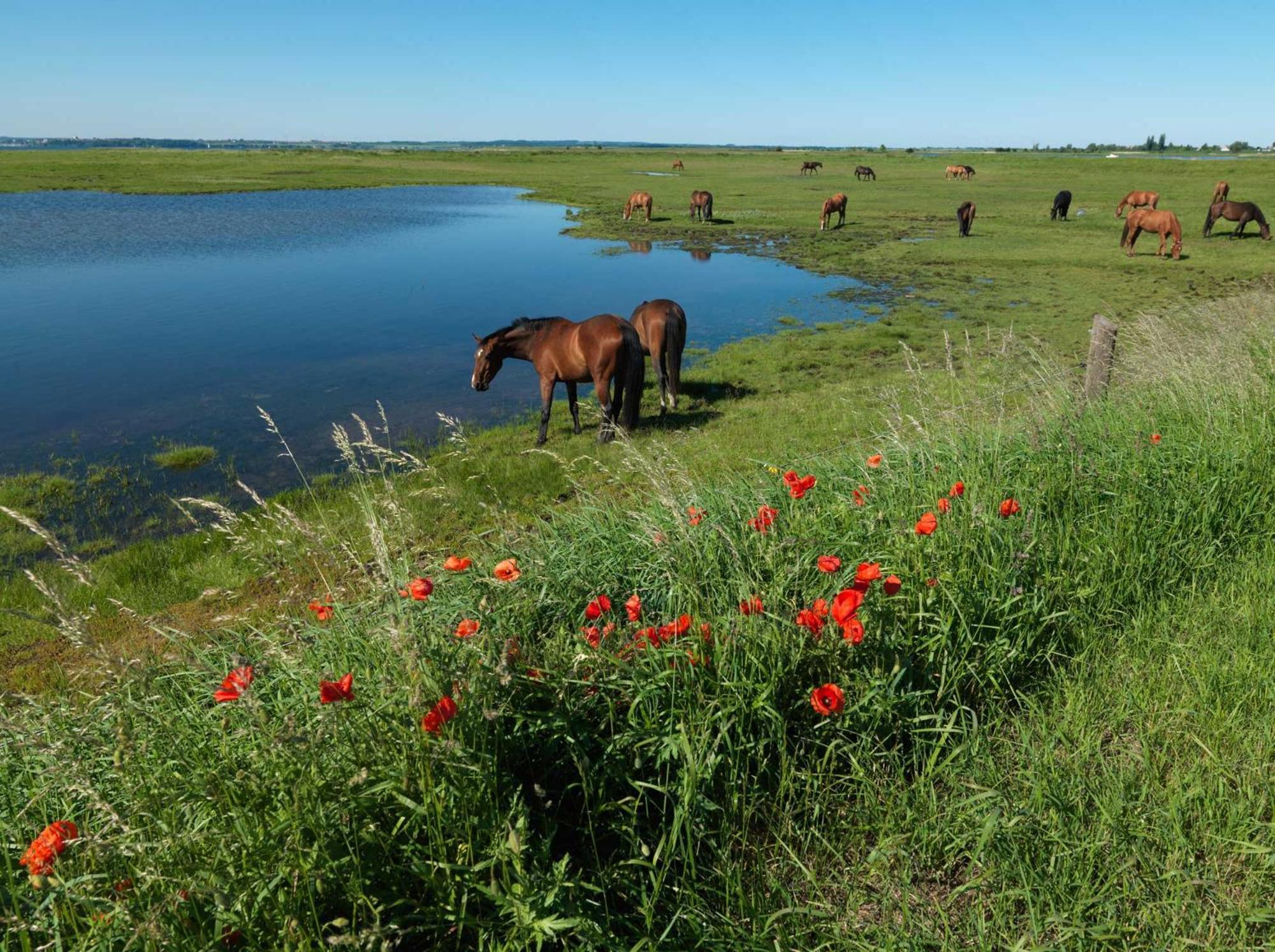 Residenz Am Yachthafen Strandaster Kirchdorf  Luaran gambar